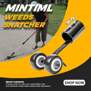 Lawn Yard Grass Razor