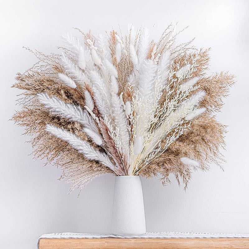 |14:691#80PCS  NO VASE;200007763:203287806|14:691#80PCS  NO VASE;200007763:203372089|14:691#80PCS  NO VASE;200007763:201336106|14:691#80PCS  NO VASE;200007763:201336104|14:691#80PCS  NO VASE;200007763:201336342|14:691#80PCS  NO VASE;200007763:201336343|14:691#80PCS  NO VASE;200007763:100015076|14:691#80PCS  NO VASE;200007763:201441035
