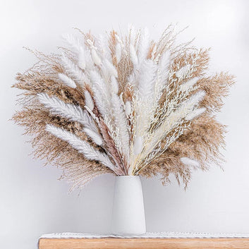 |14:691#80PCS  NO VASE;200007763:203287806|14:691#80PCS  NO VASE;200007763:203372089|14:691#80PCS  NO VASE;200007763:201336106|14:691#80PCS  NO VASE;200007763:201336104|14:691#80PCS  NO VASE;200007763:201336342|14:691#80PCS  NO VASE;200007763:201336343|14:691#80PCS  NO VASE;200007763:100015076|14:691#80PCS  NO VASE;200007763:201441035