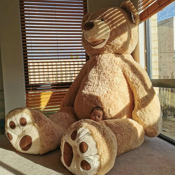 Teddy Bear