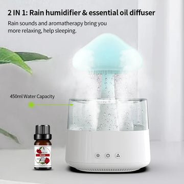 Rainfall Humidifier